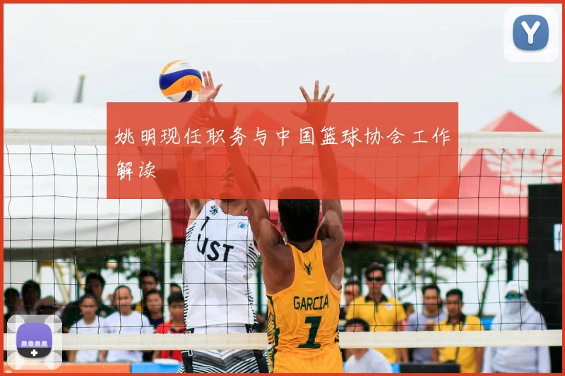 姚明现任职务与中国篮球协会工作解读